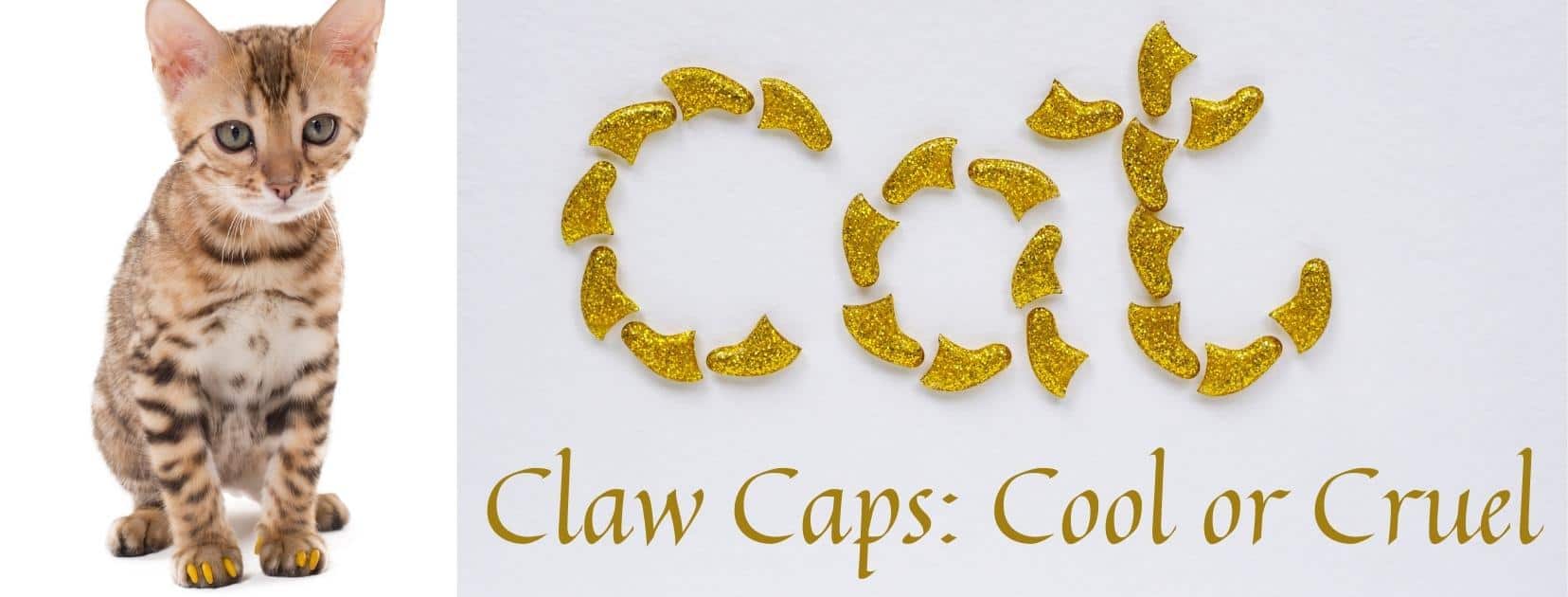 tabby cat wearing gold cat nail covers