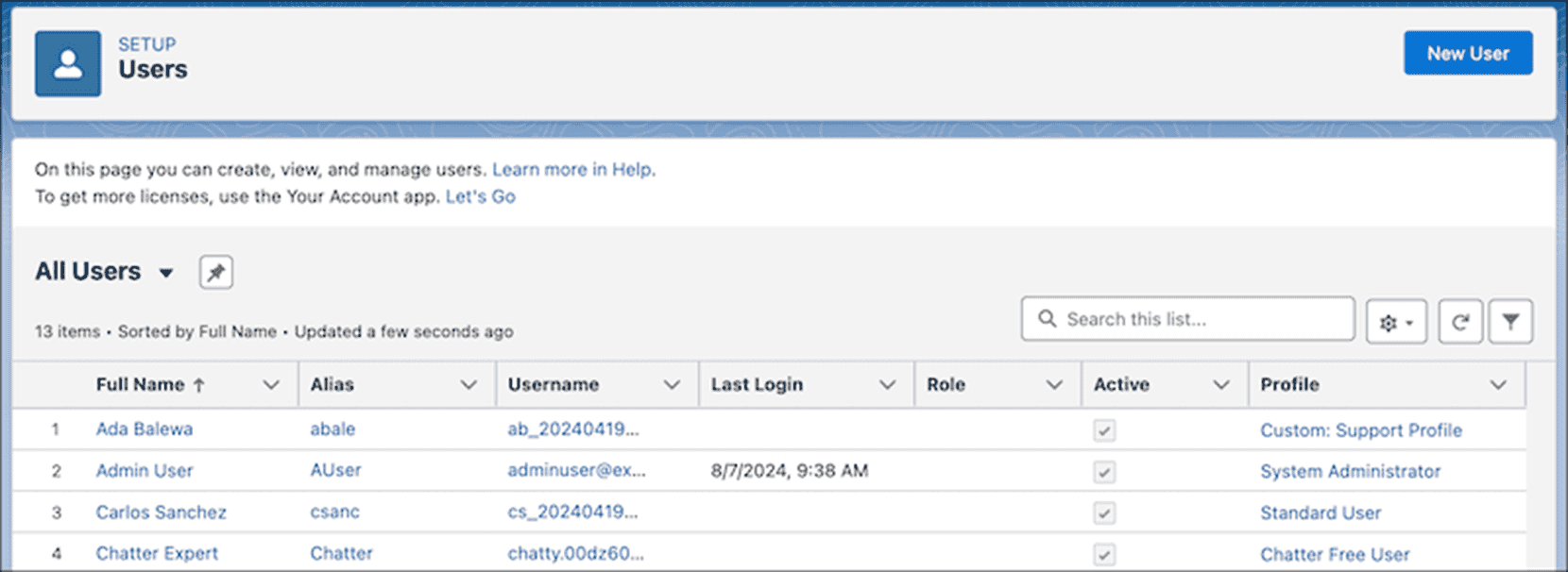 Salesforce Winter '25 Release - Enhanced User List View &ndash; Inline Edits