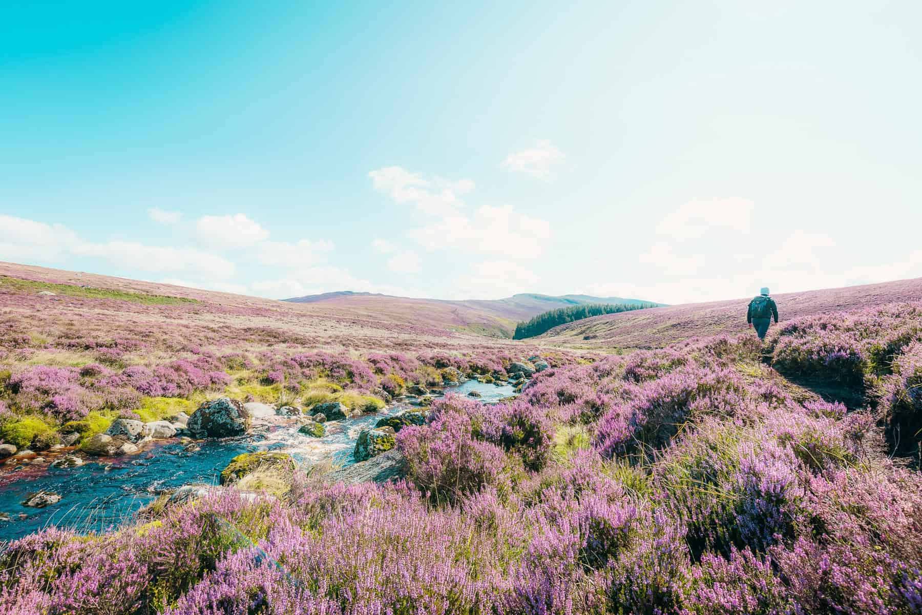 Best Months to Visit Ireland