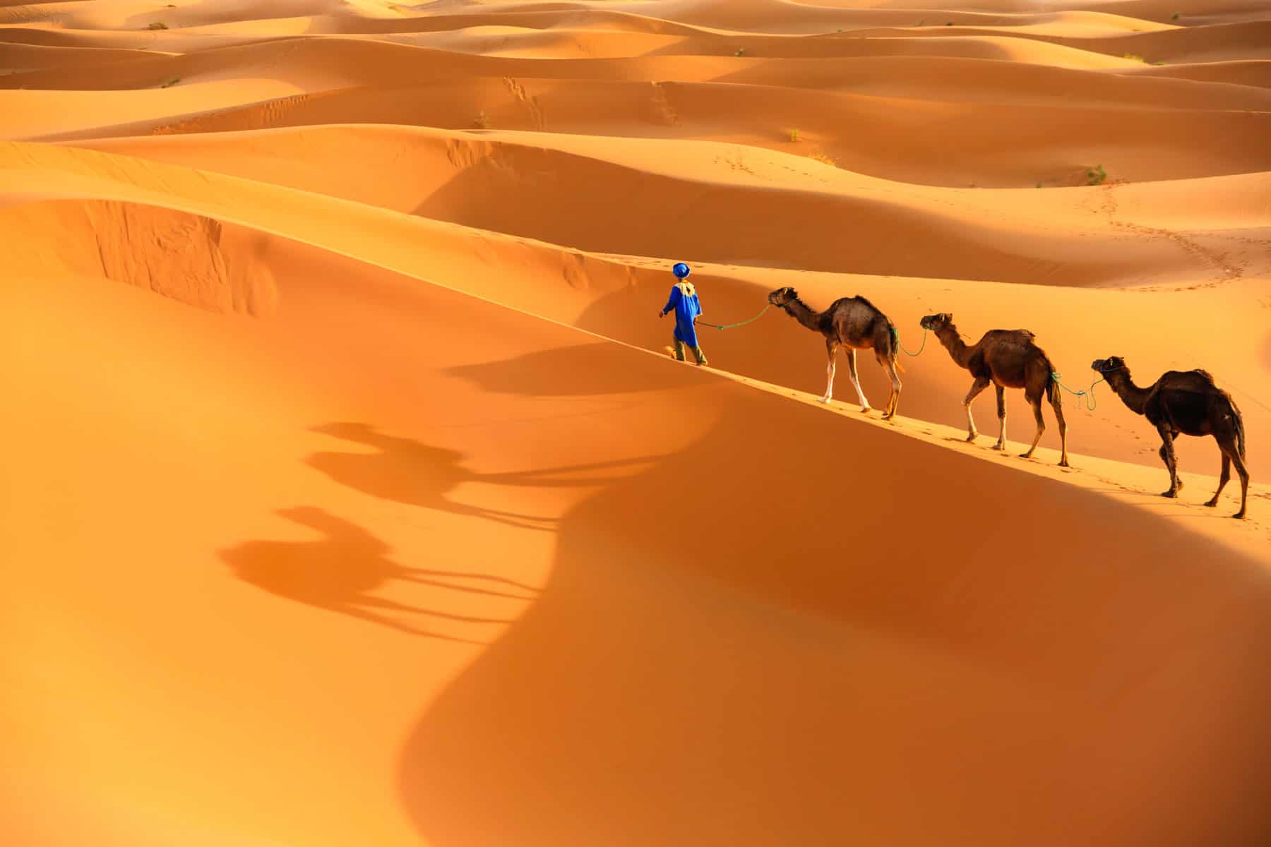 Merzouga Desierto