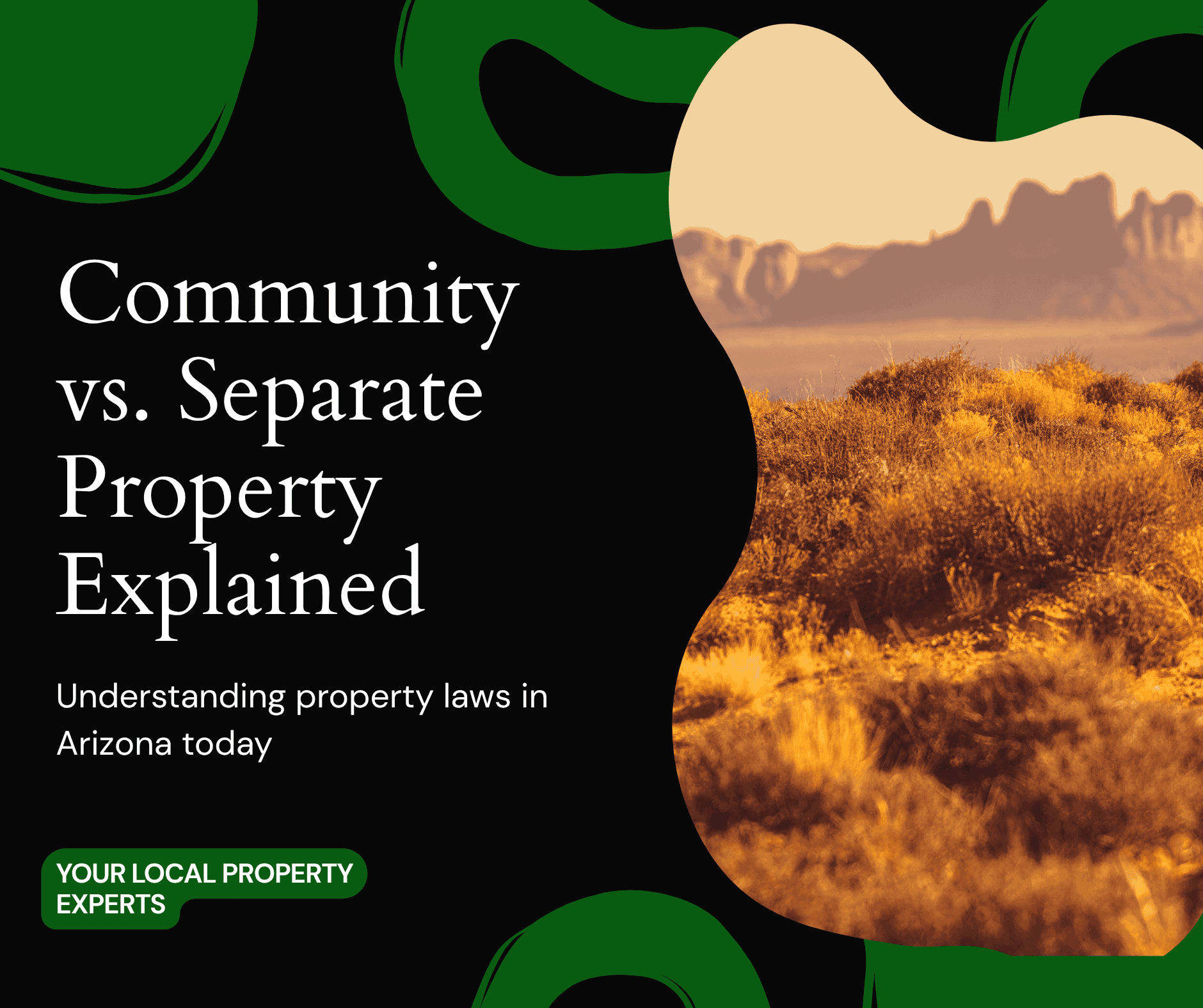 Community vs. Separate Property Explained