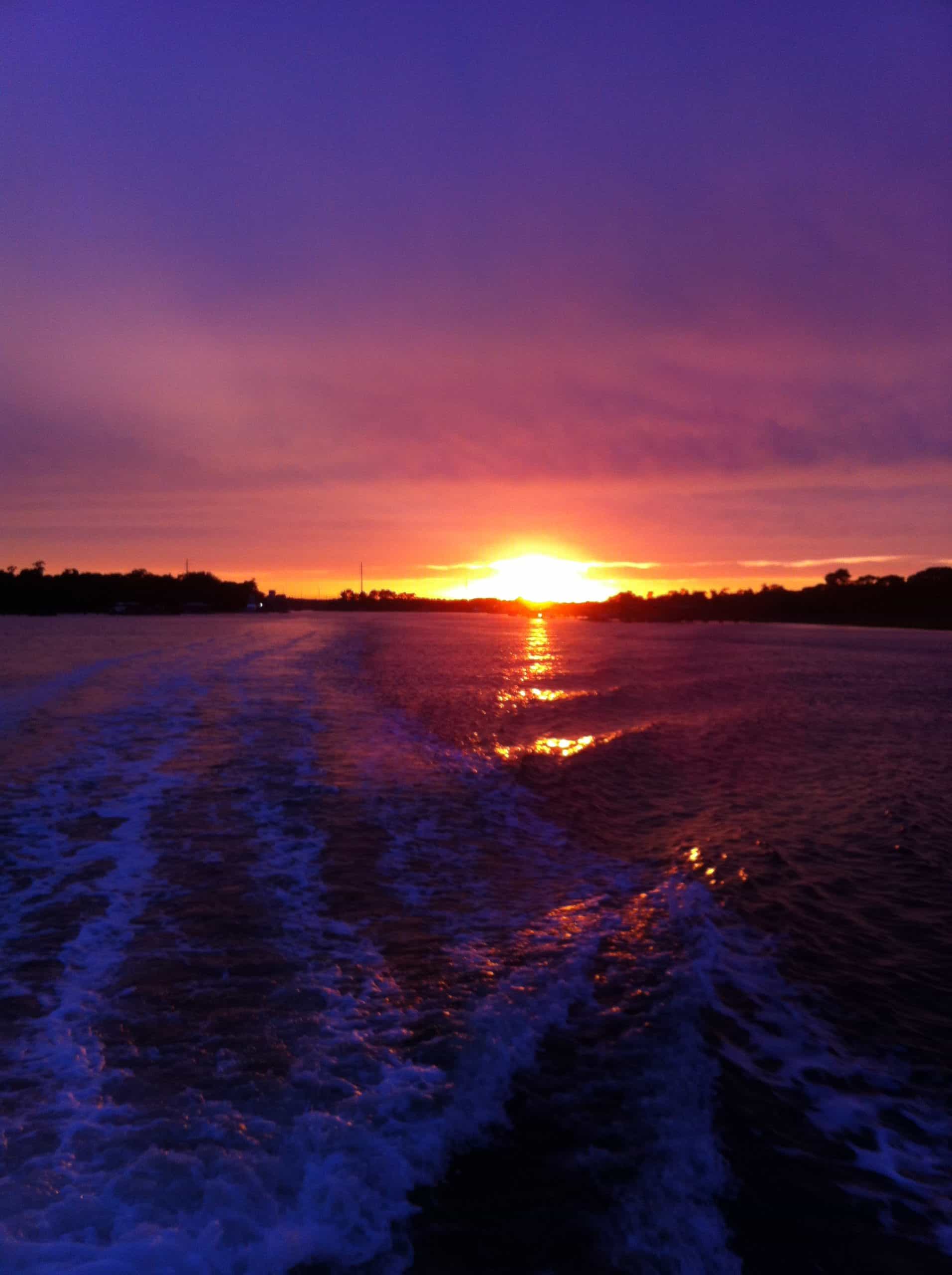 Purple sunset setting over purple water. Sunset cruise Charleston, SC