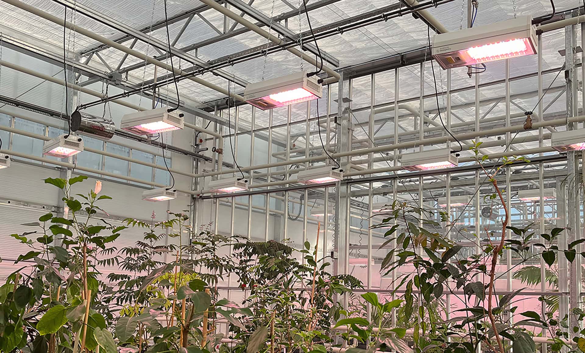 ELIXIA C5 light at Kew Gardens