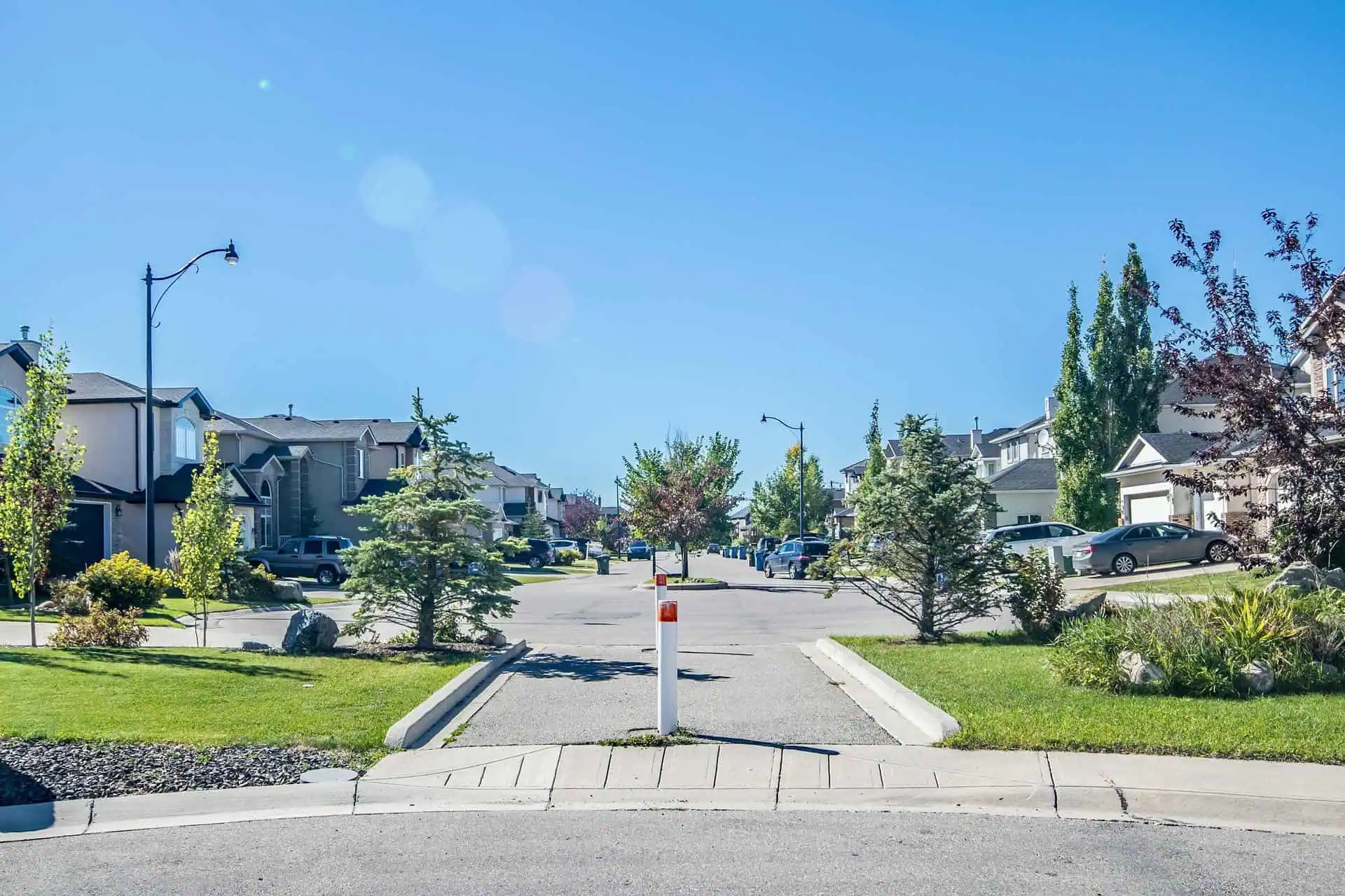 Trees and Housing Views | One80Law Group