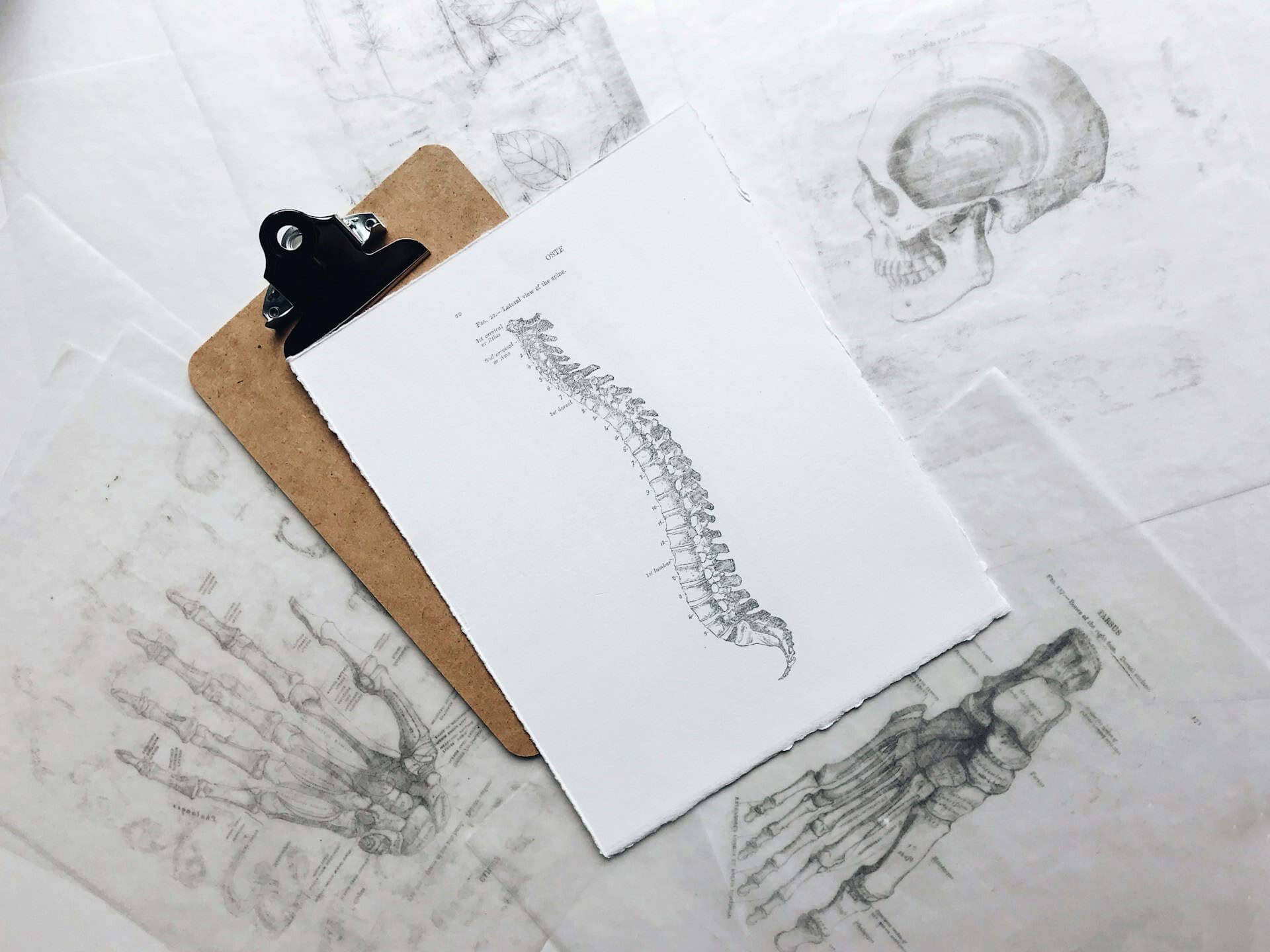 Chiropractic Care: Conditions Treated, Expected Results, and Finding a Chiropractor