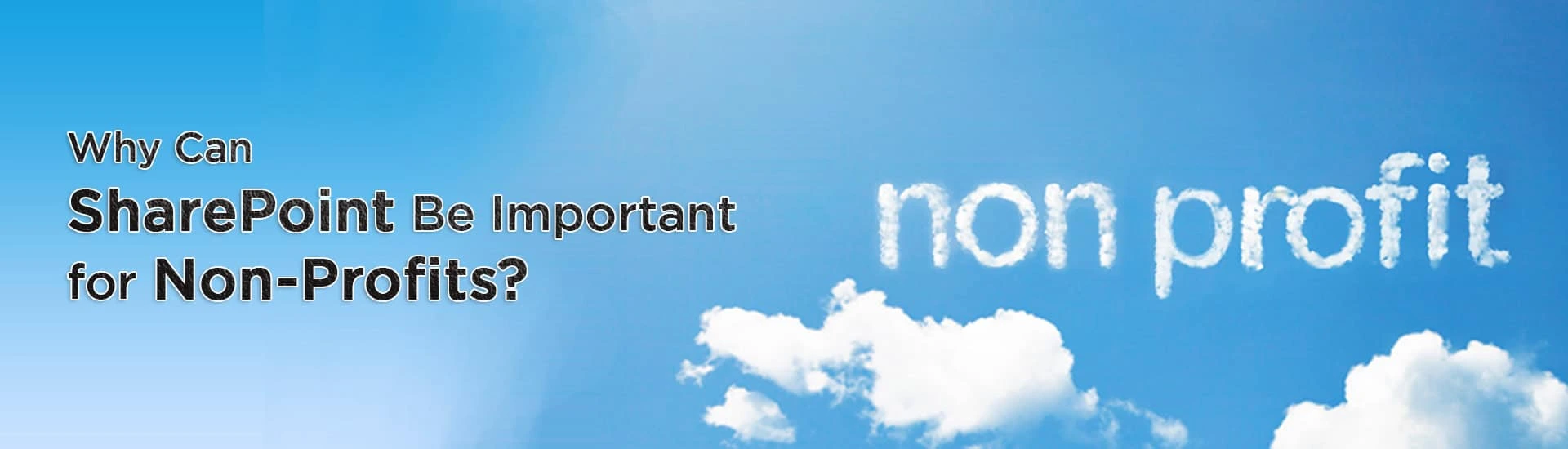 Non Profits