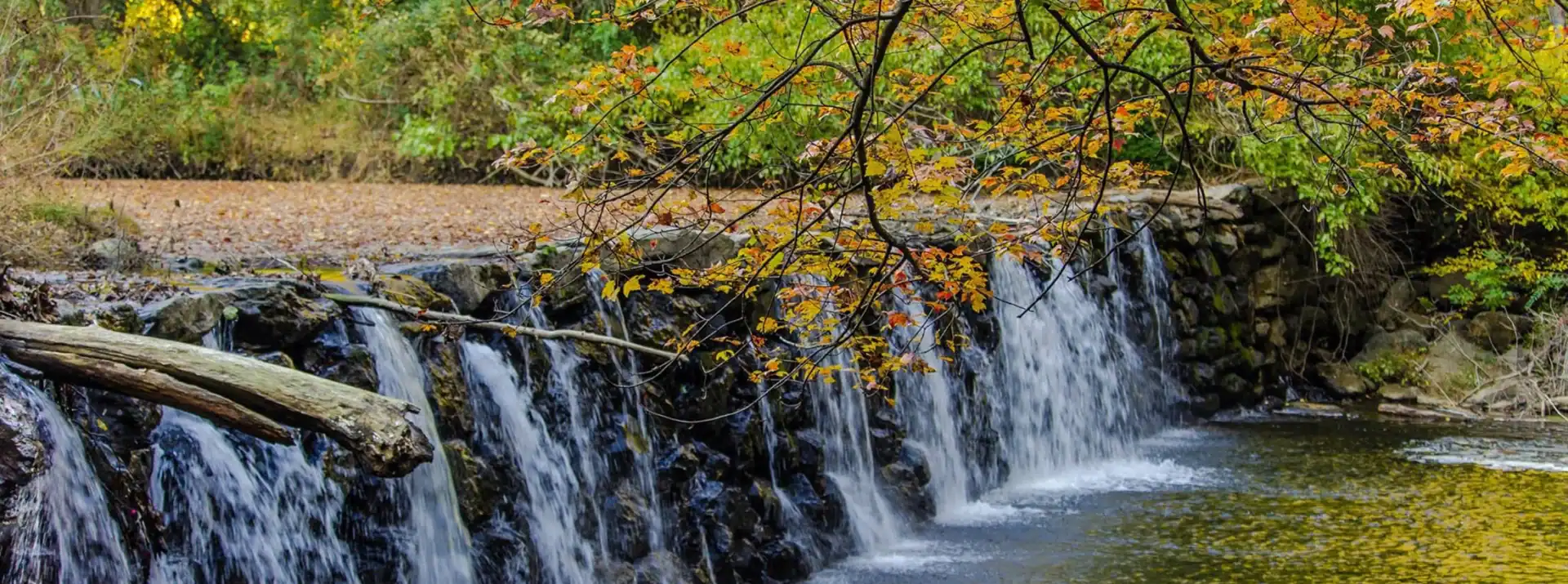 State-of-the-art technology paired with an uncompromising commitment to comfort and precision