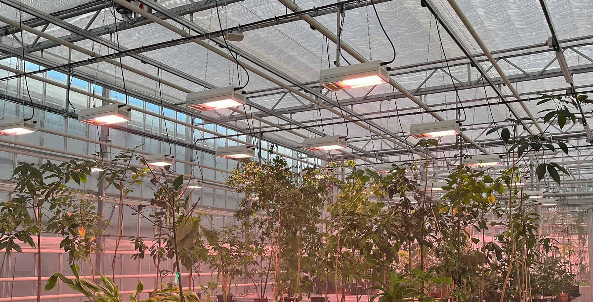 ELIXIA light at Kew Gardens