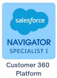 Salesforce MSP Partner Customer 360
