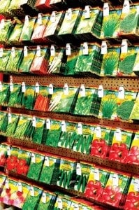 post_77819_20120302124658