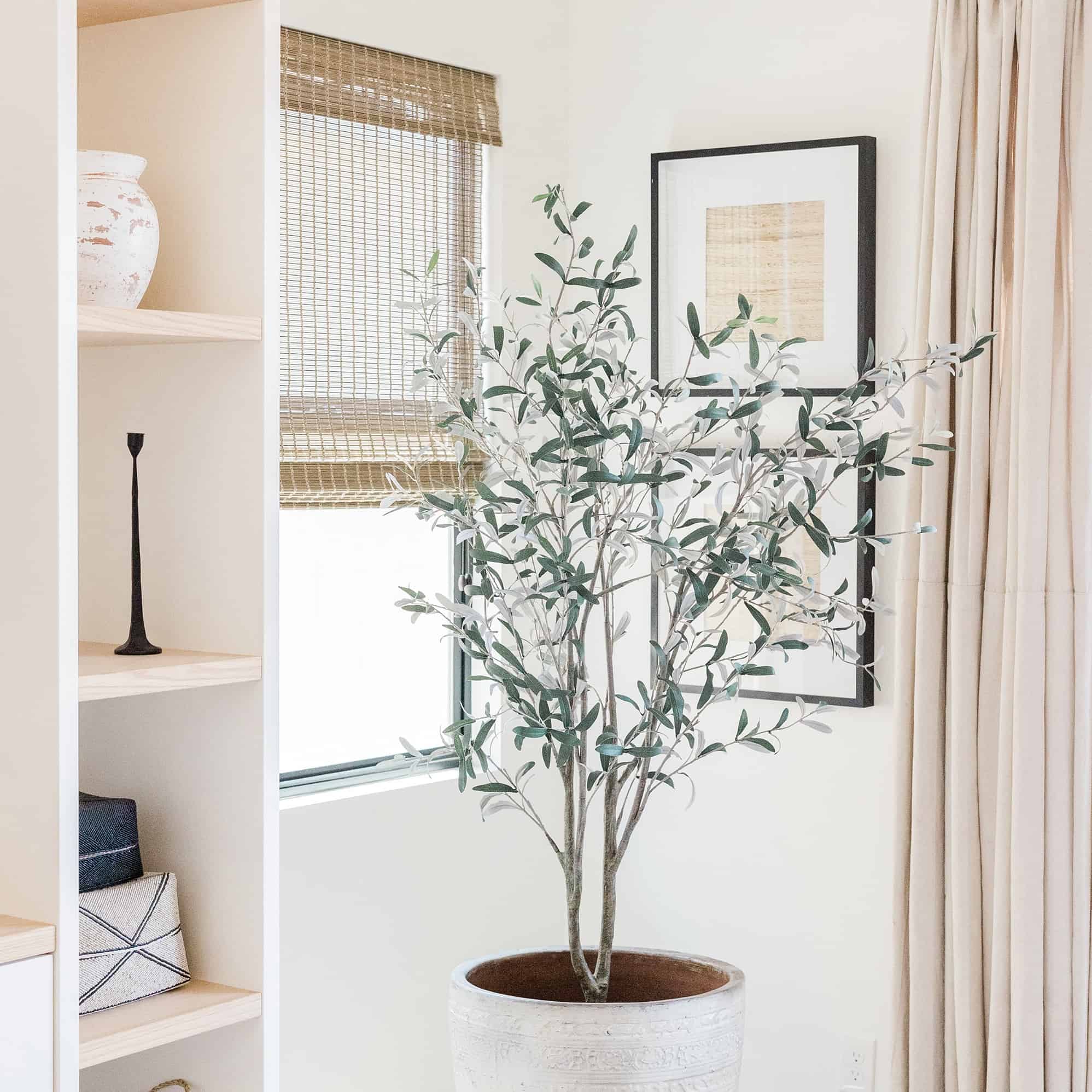 bright living room corner with potted tree and styled bookcase with light streaming in
