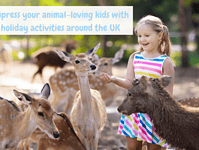 Impress your animal-loving kids with holiday activities around the UK.... Impress your animal-loving kids with holiday activities around the UK