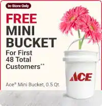FREE Mini Bucket at Ace Hardware