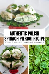 polish spinach pierogi recipe