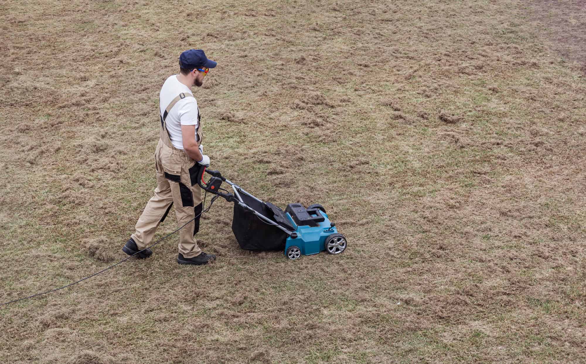 Scarifying lawn with a scarifier