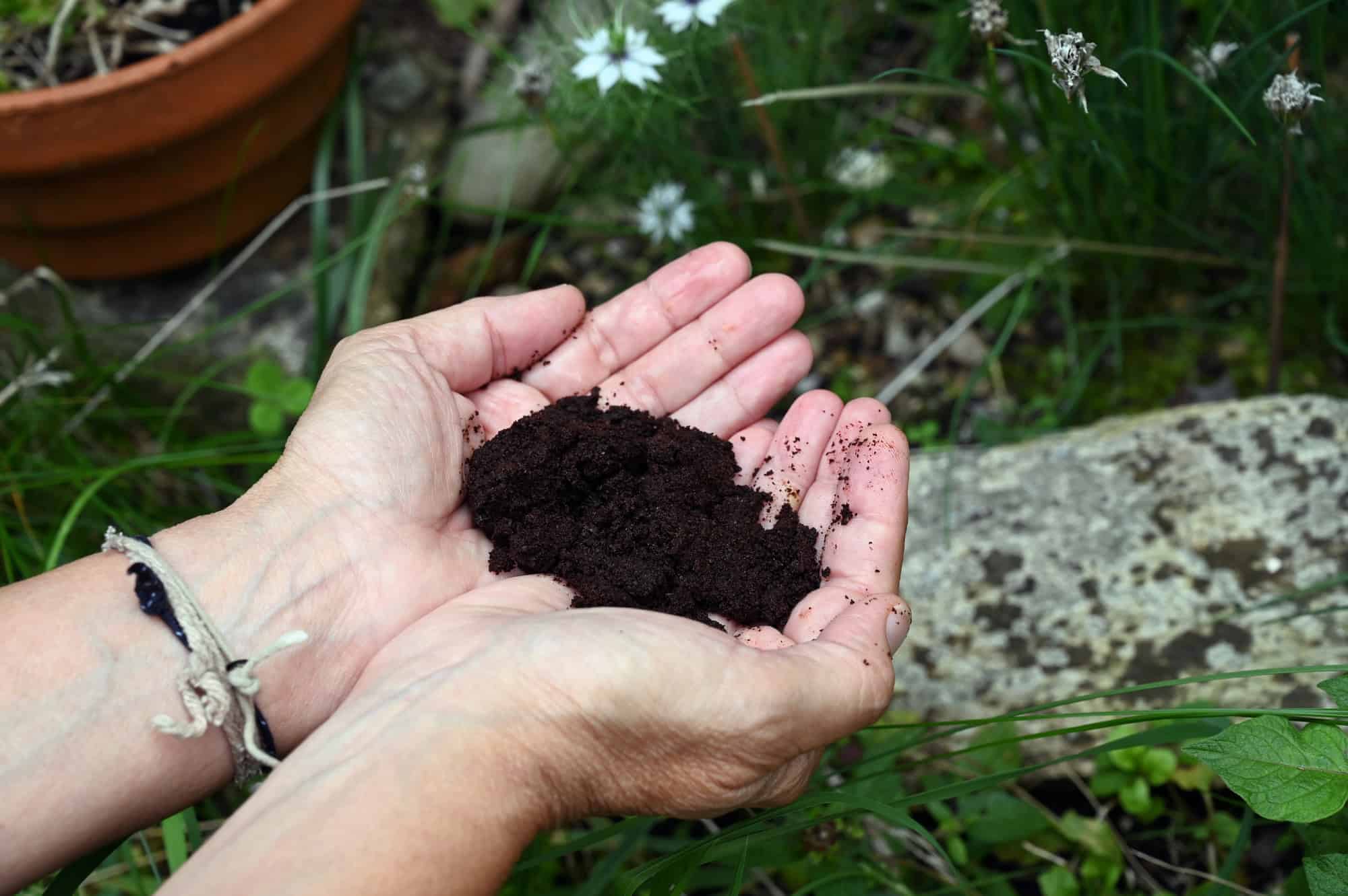 Someone with coffee grounds in their hands to put them in a garden