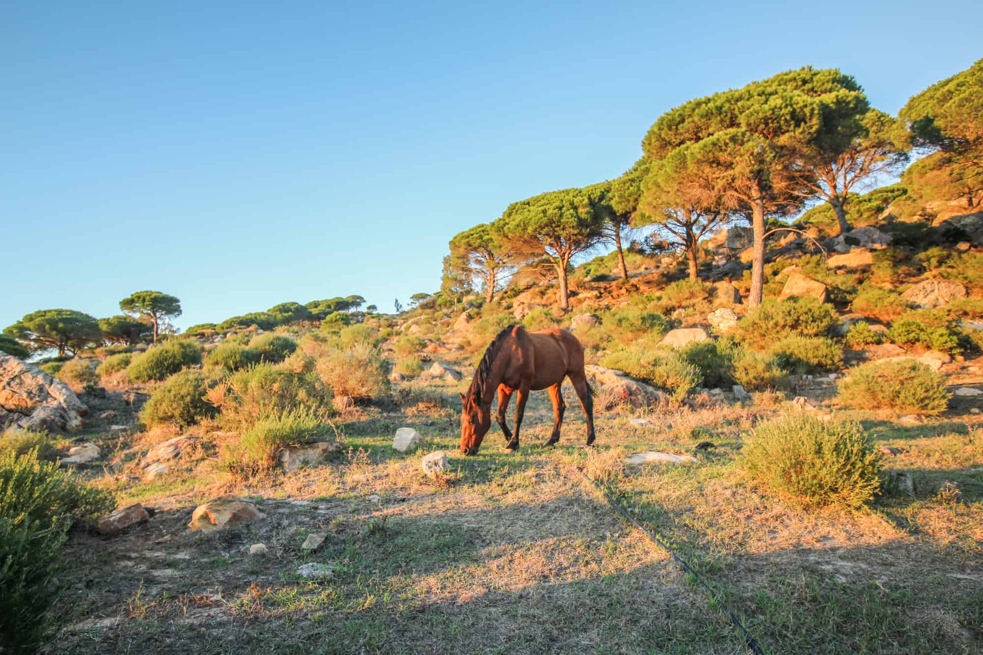 Pferd Wanderweg La Pena