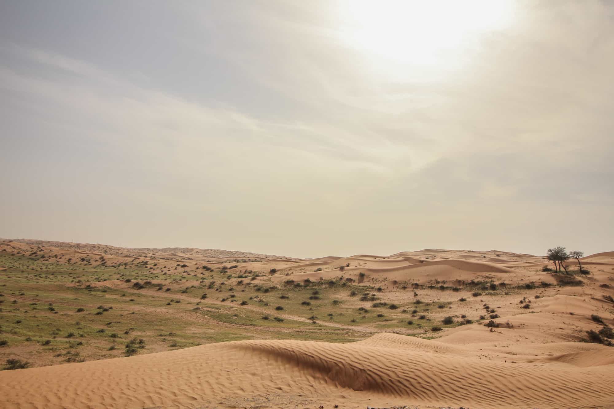 Ras al Khaimah Desert