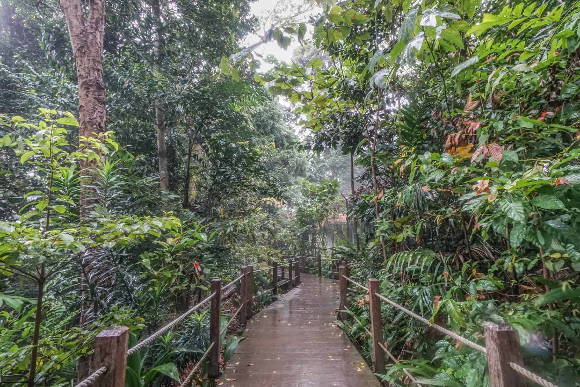 bukit timah