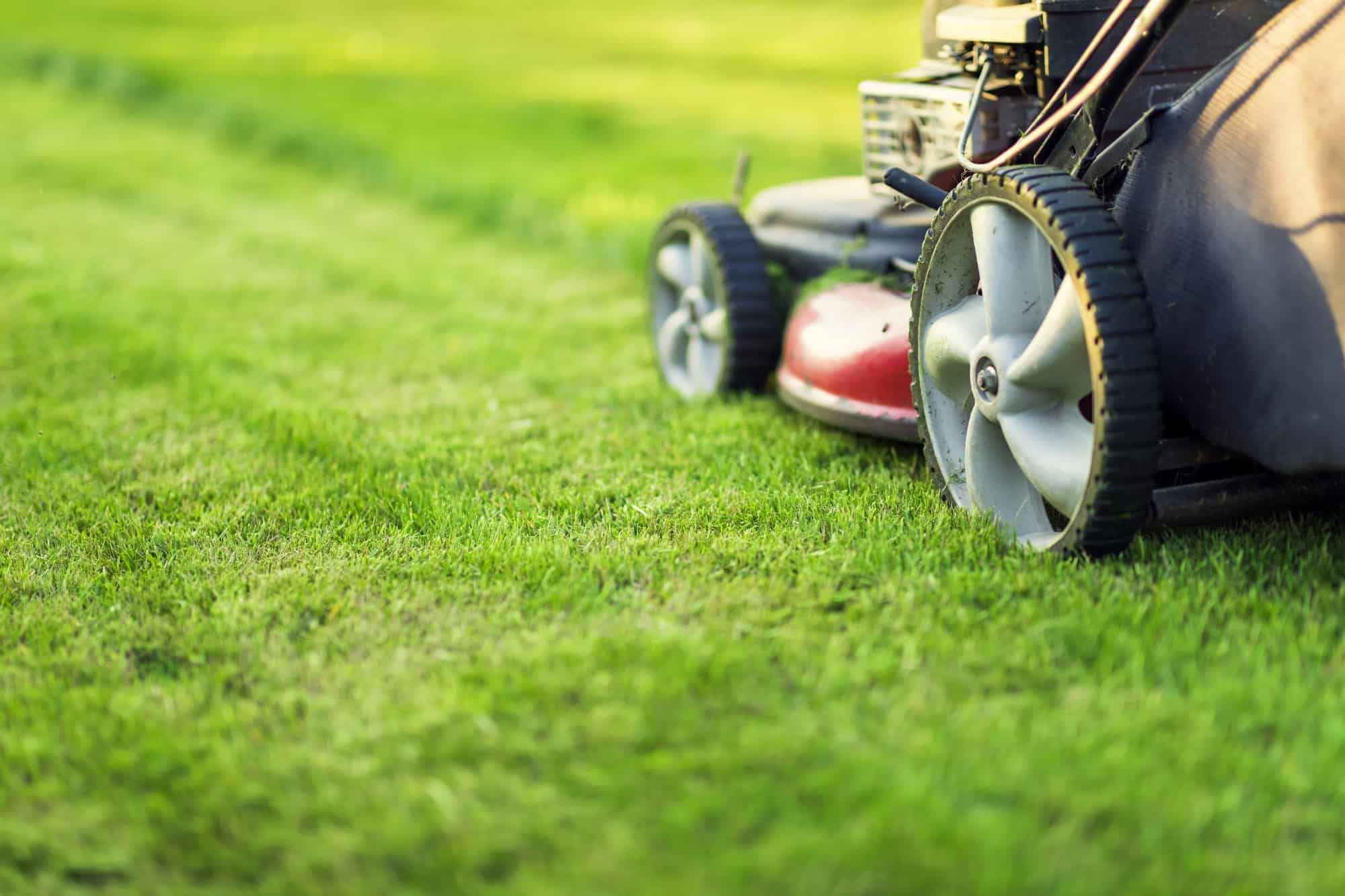 Lawn mower cutting green grass