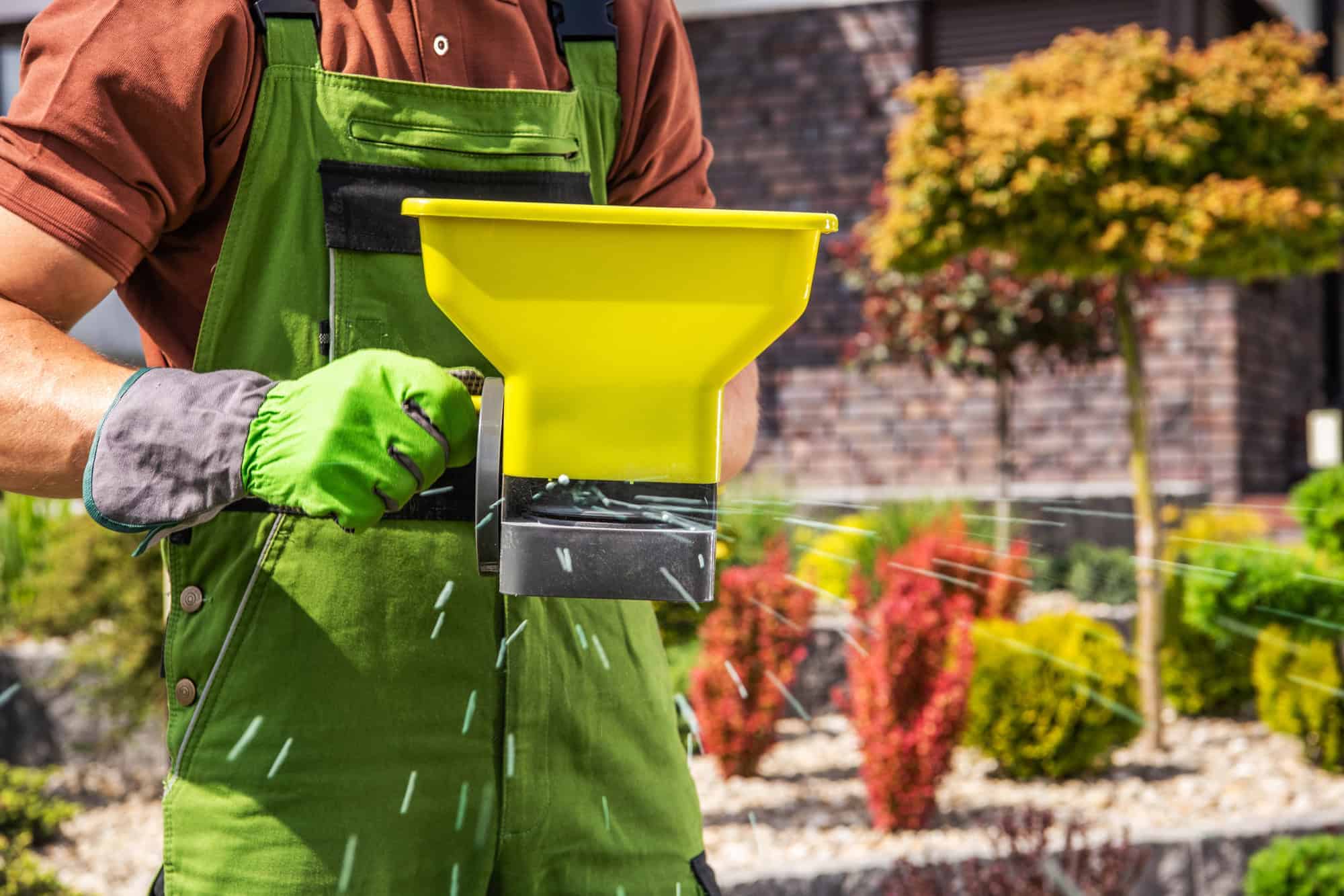 Closeup of Professional Gardener Spreading Granular Lawn Fertilizer Using Handheld Broadcast Spreader.
