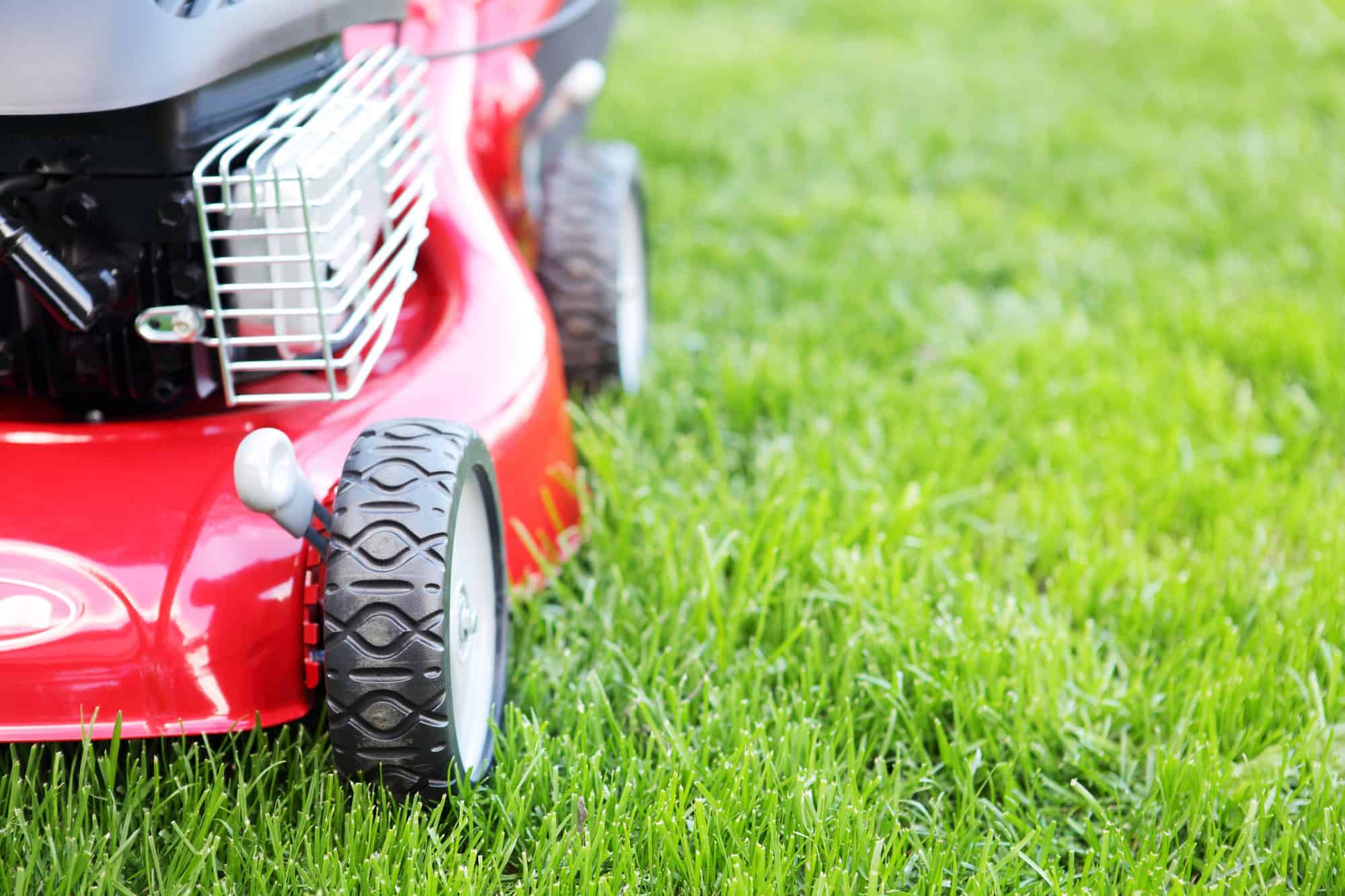 Red lawn mower