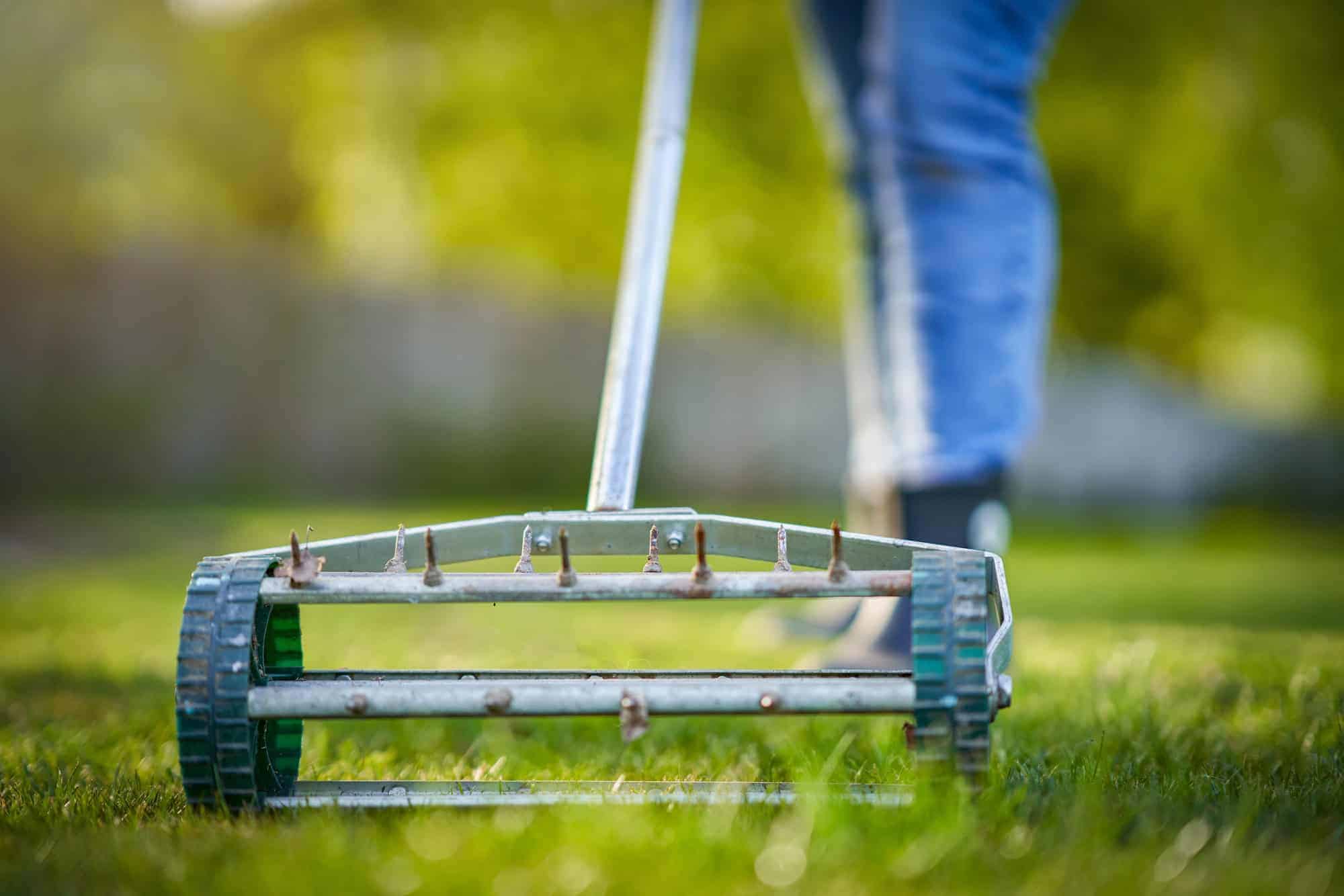 Grass aerator on the green lawn