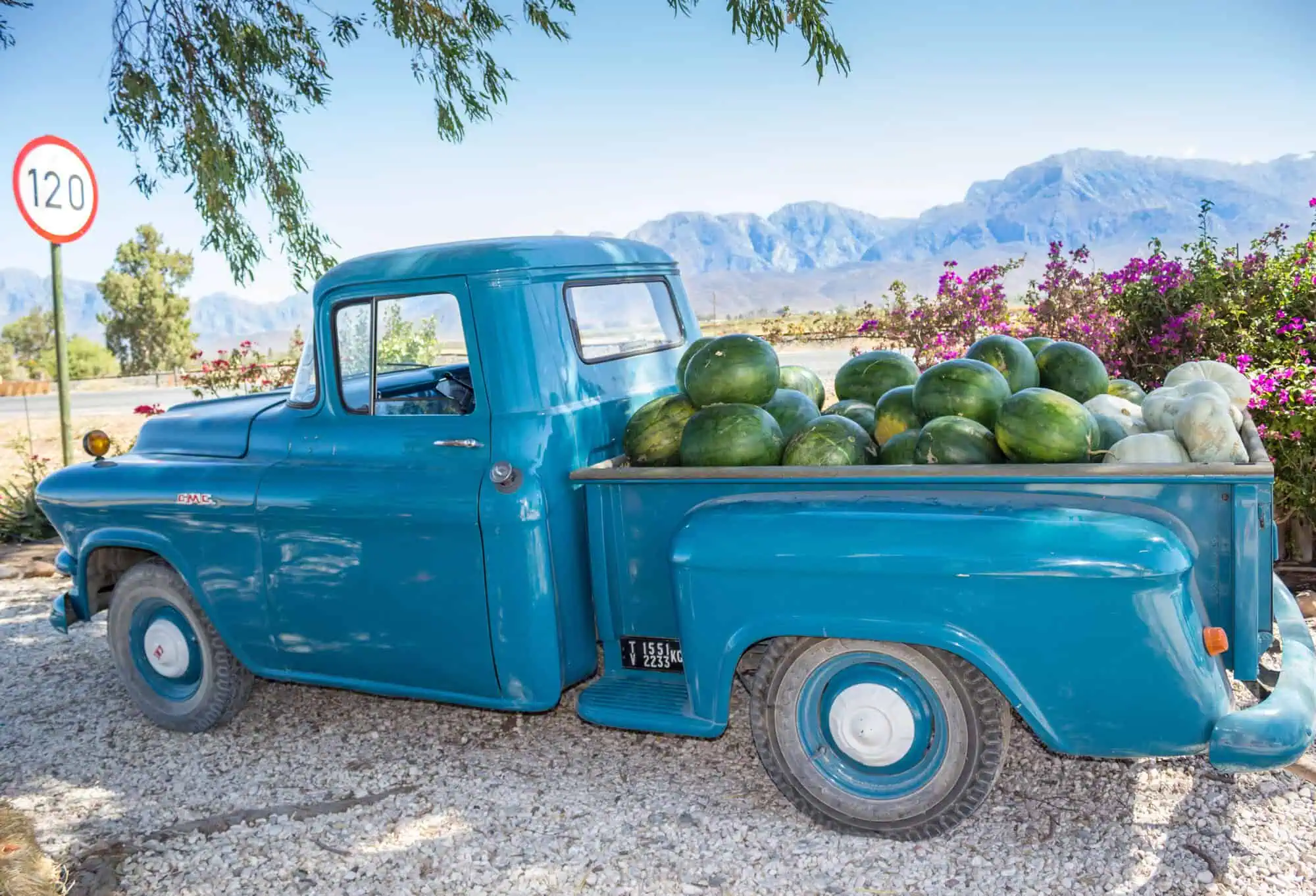 Wassermelonenernte in SuÌdafrika