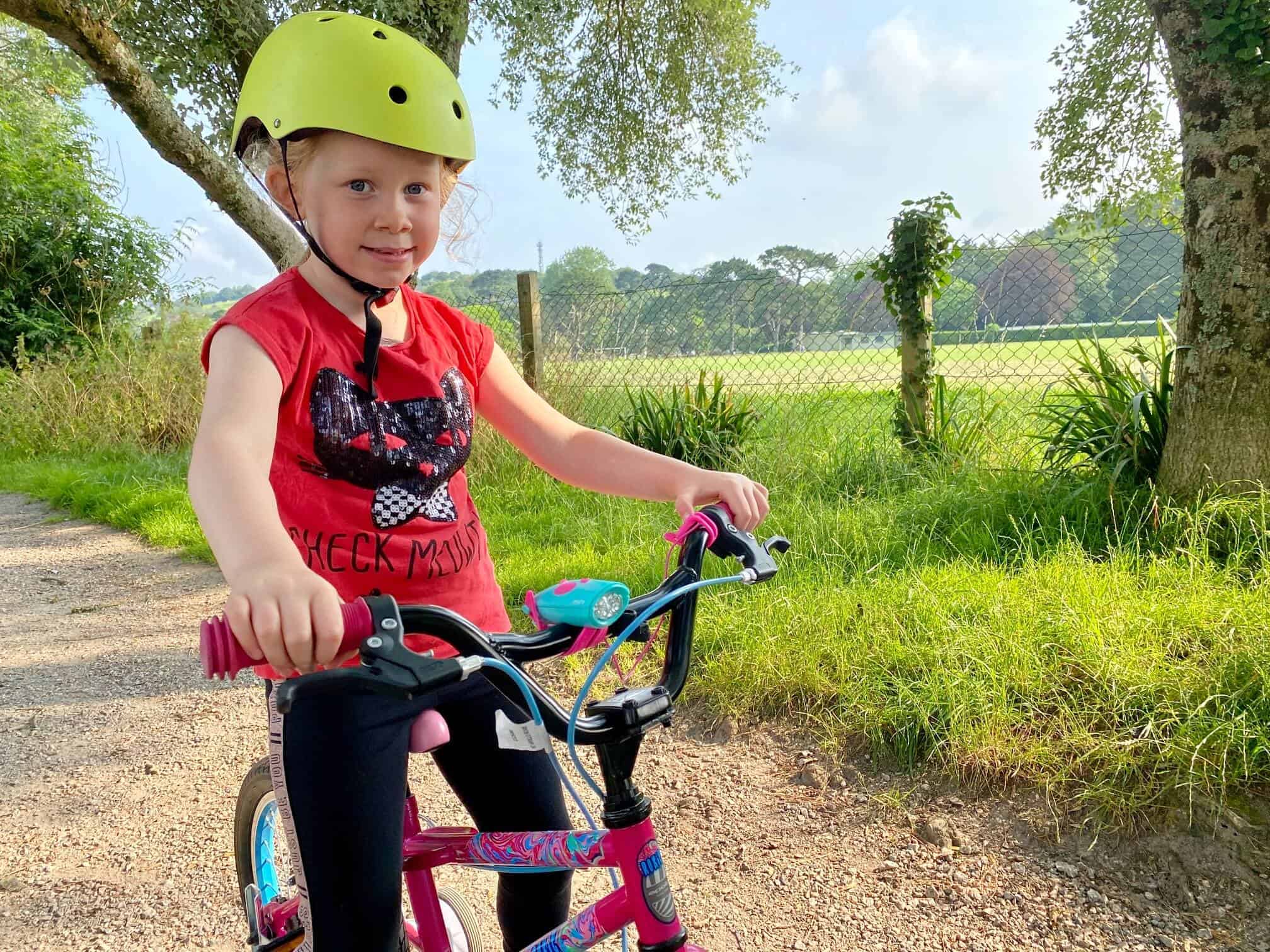 HORNIT, Turquoise & Pink - For Bikes & Scooters 