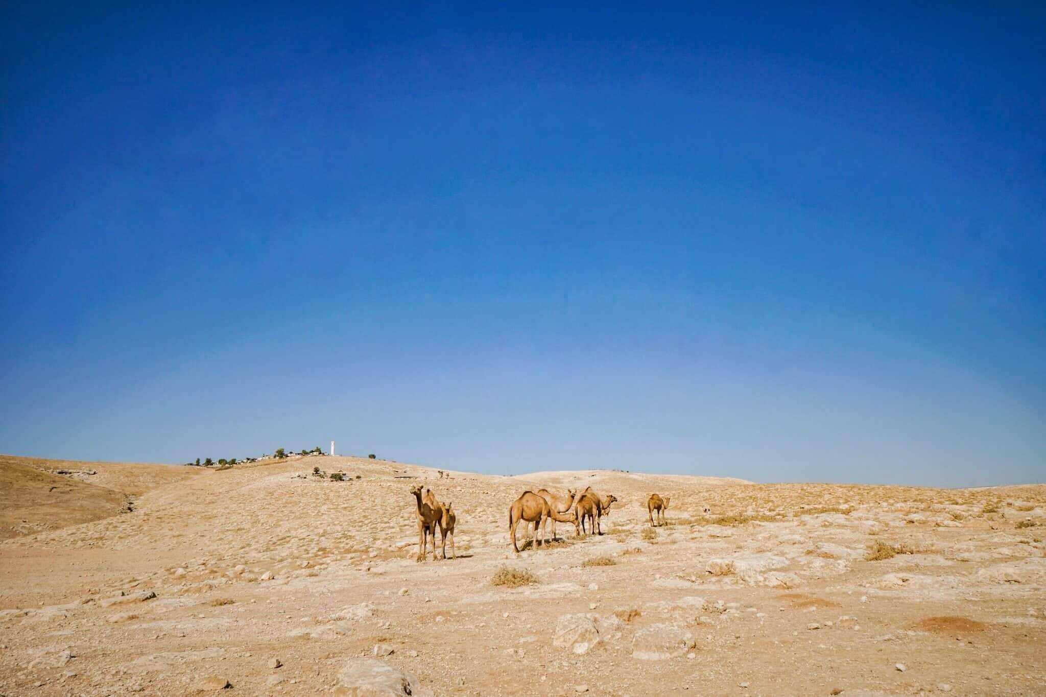 Wüste Juda – Judaean Desert