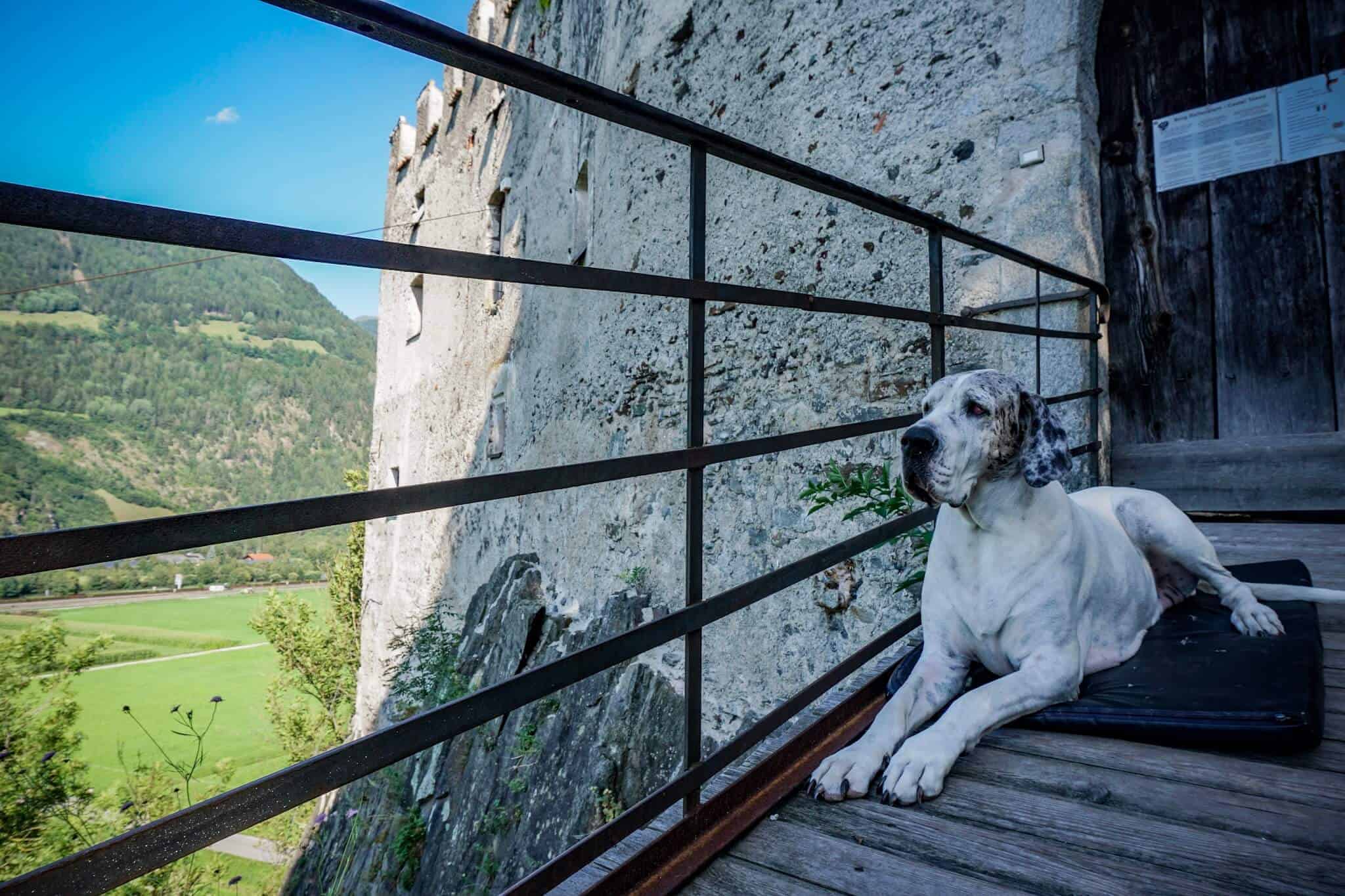 Burg Reifenstein