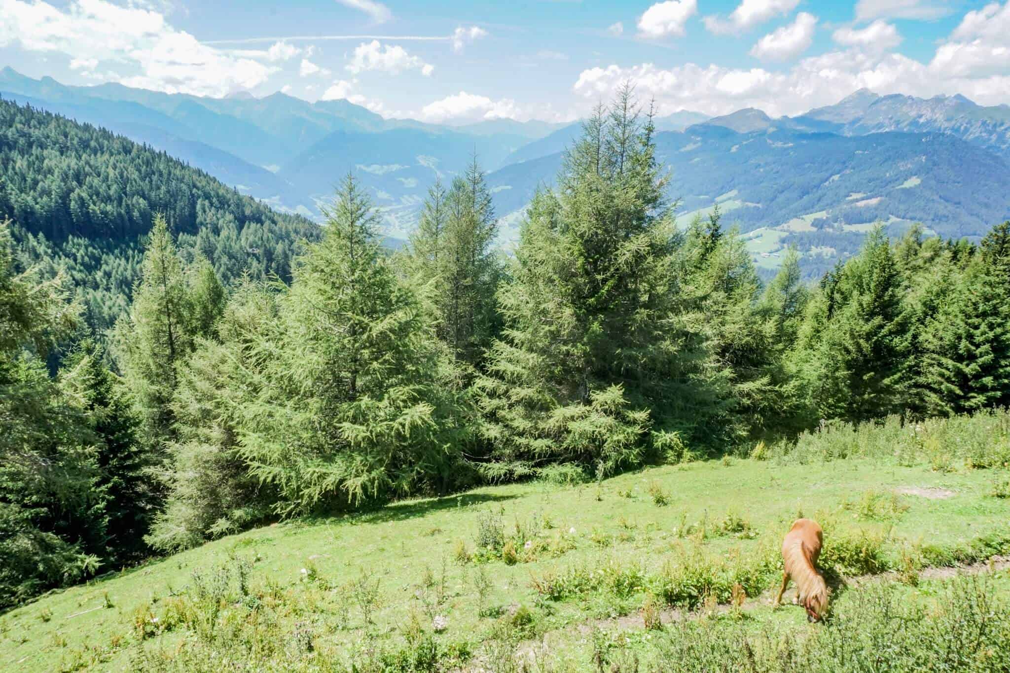 Prantner Alm Ausblick