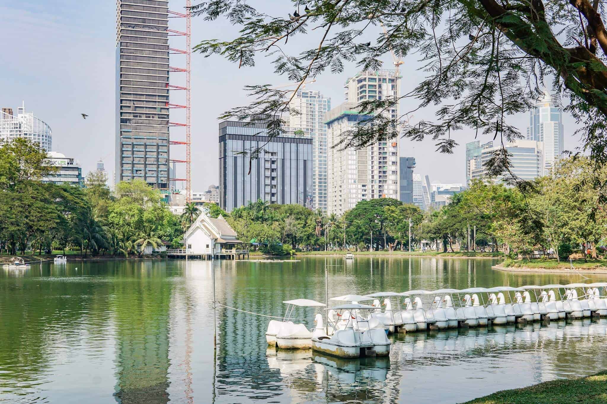 Lumphini Park Bangkok