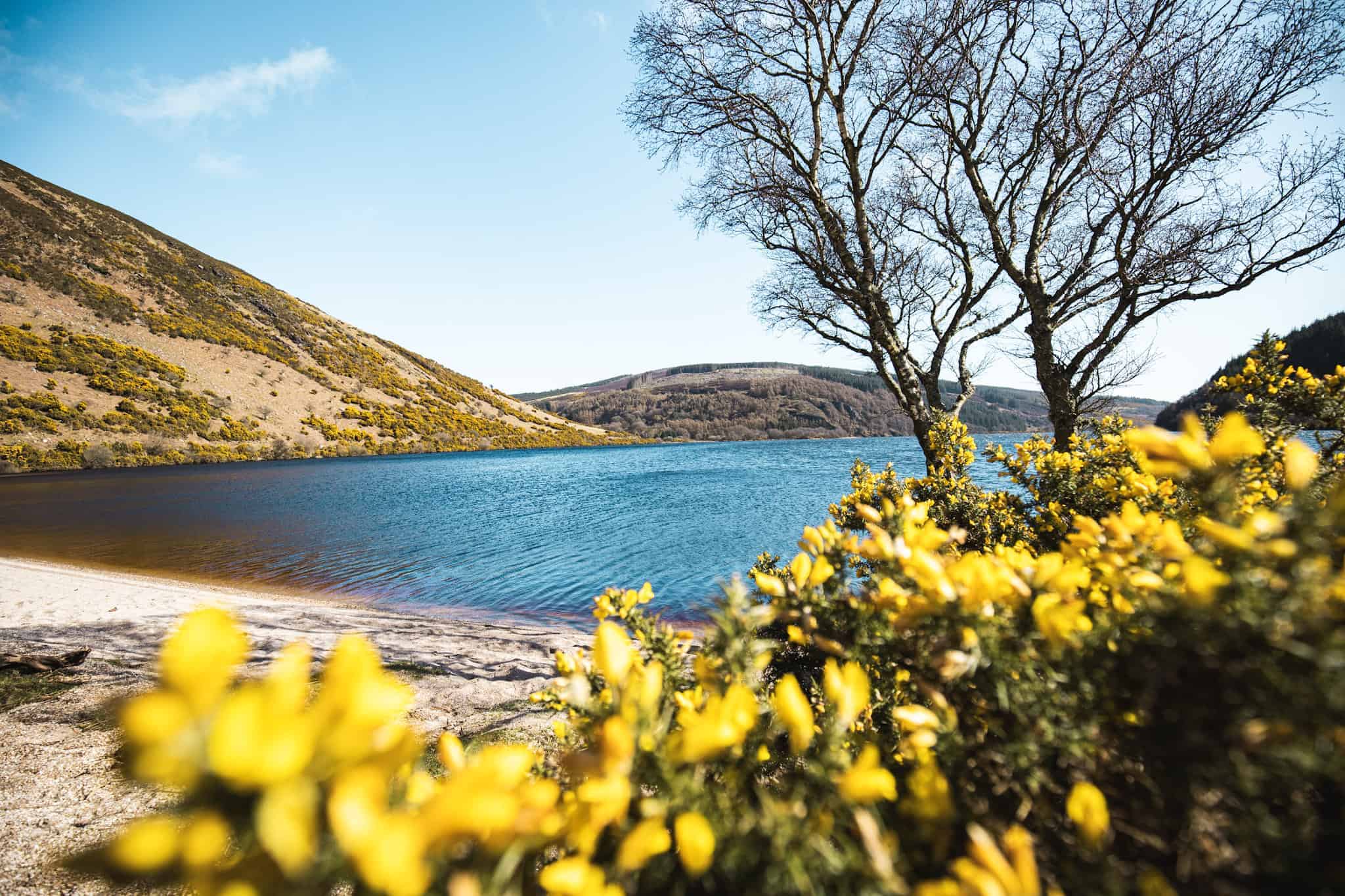 Lough Dan - Coon beach view