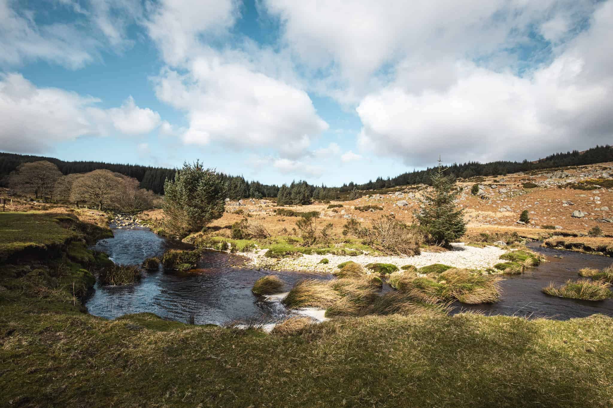 Lough Dan - River view