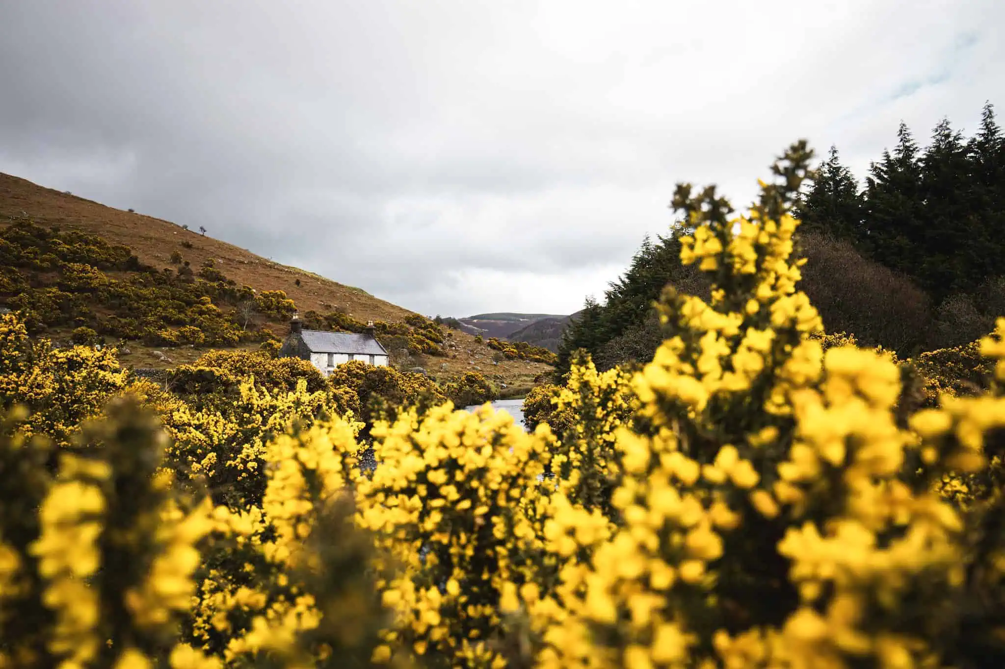 Lough Dan Walk Everything You Need To Know In 2026 Lough Dan From Ballinastoe 