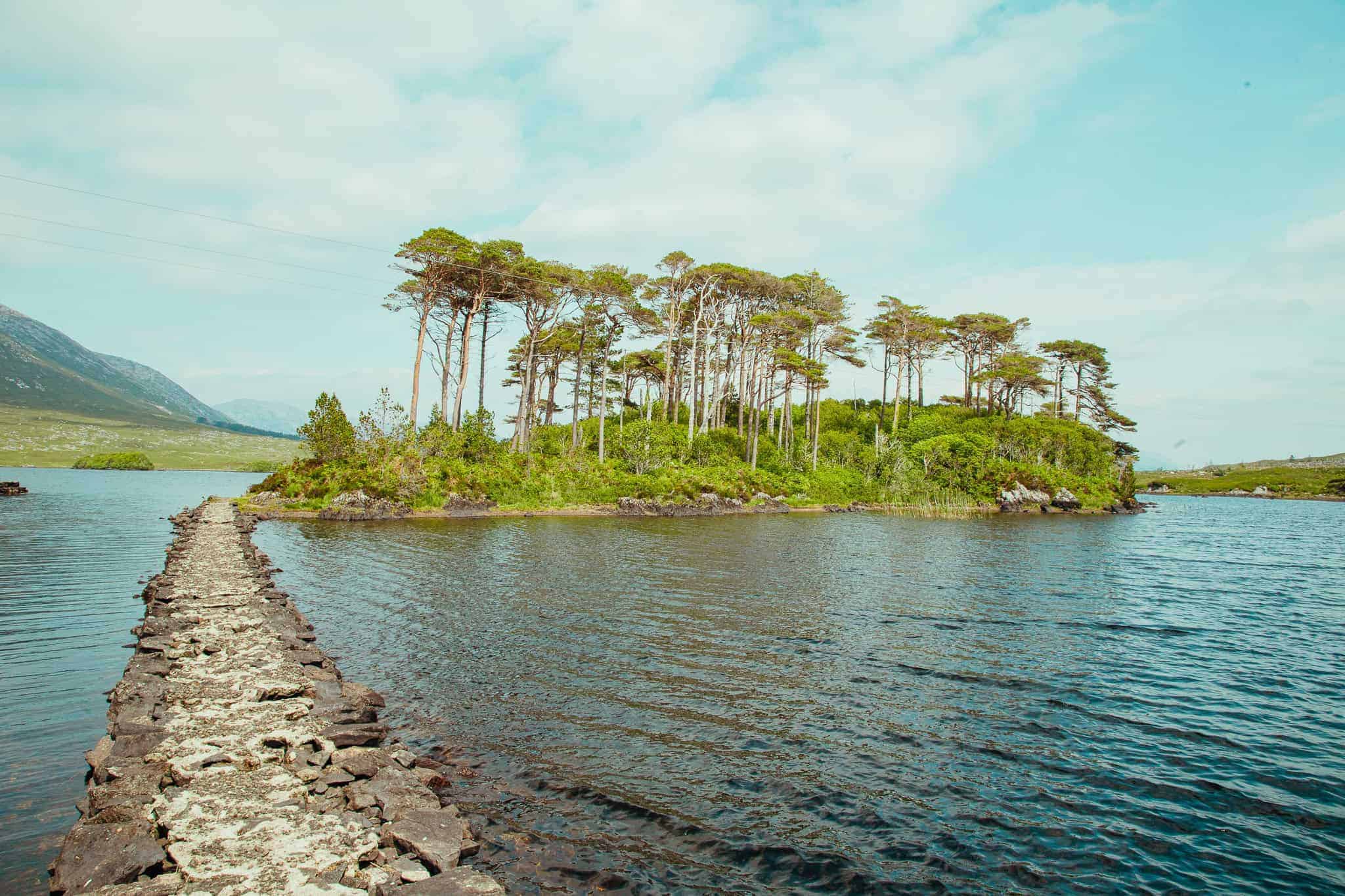 A small, tree-covered island surrounded by calm water, with a rocky path leading to it.