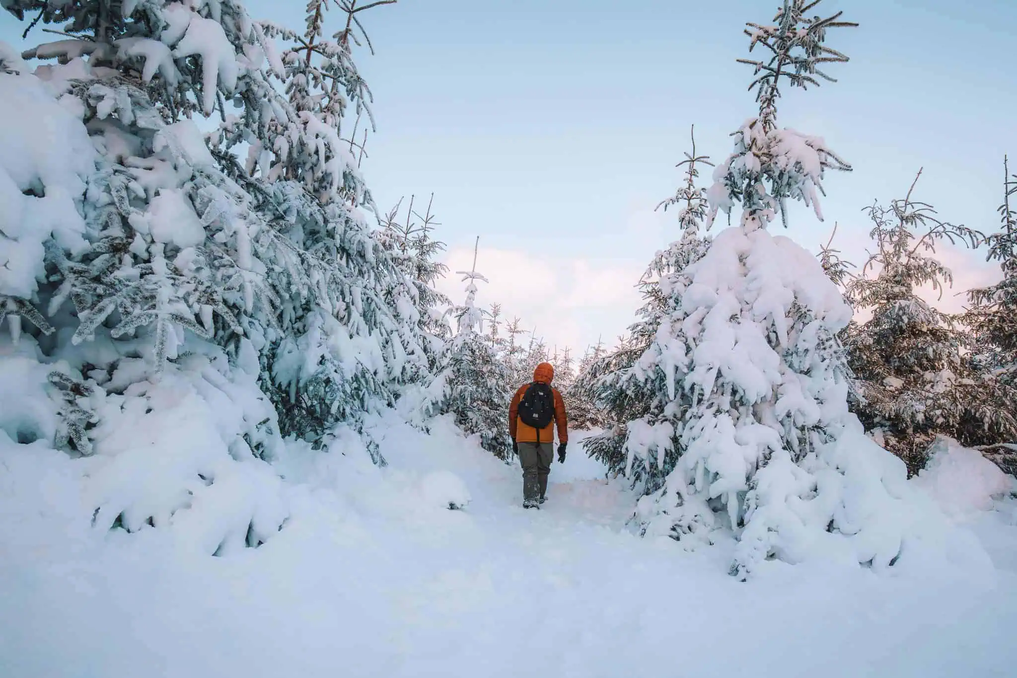 A person wearing an orange jacket and a backpack walks along a snow-covered path flanked by frosty pine trees. The trees' branches are heavy with snow, creating a tunnel-like effect beneath the crisp, clear sky.