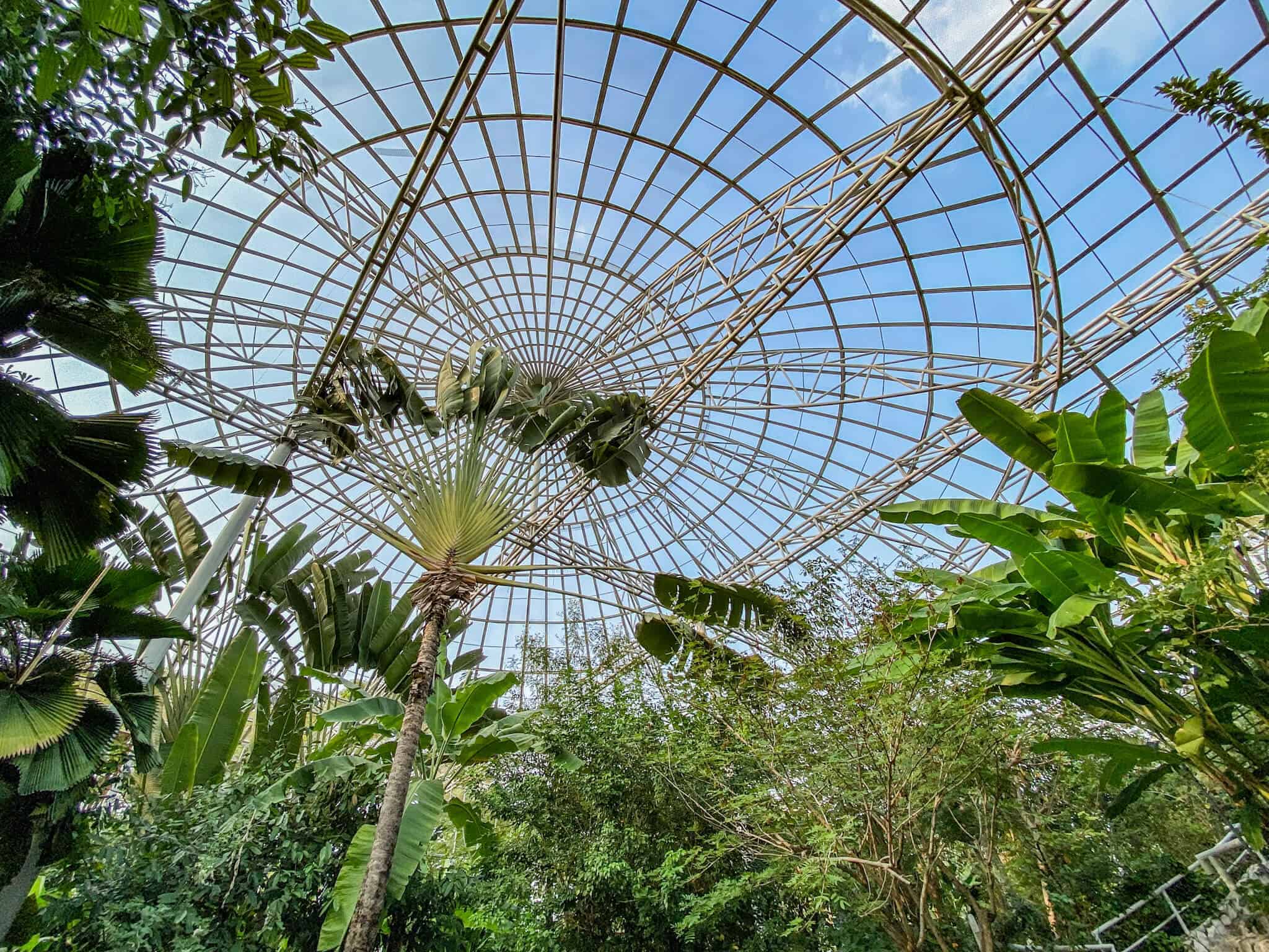 Butterfly Garden Wachirabenchathat Park 