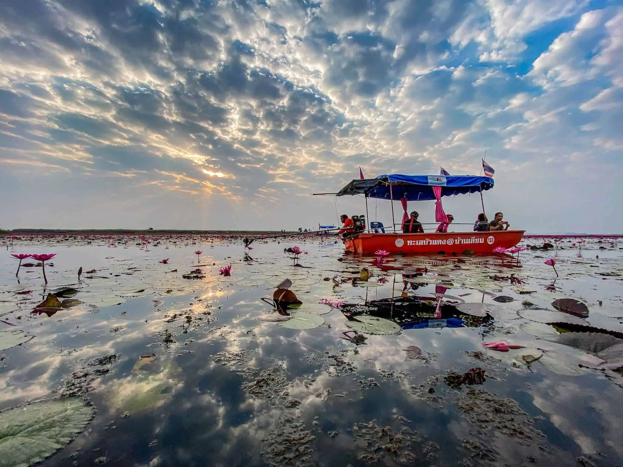 Red Lotus Lake