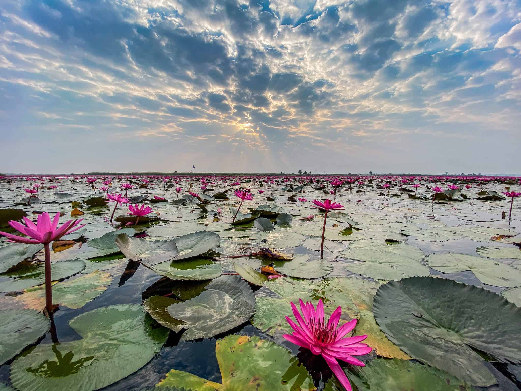 Thai am Ping River zu Loy Krathong