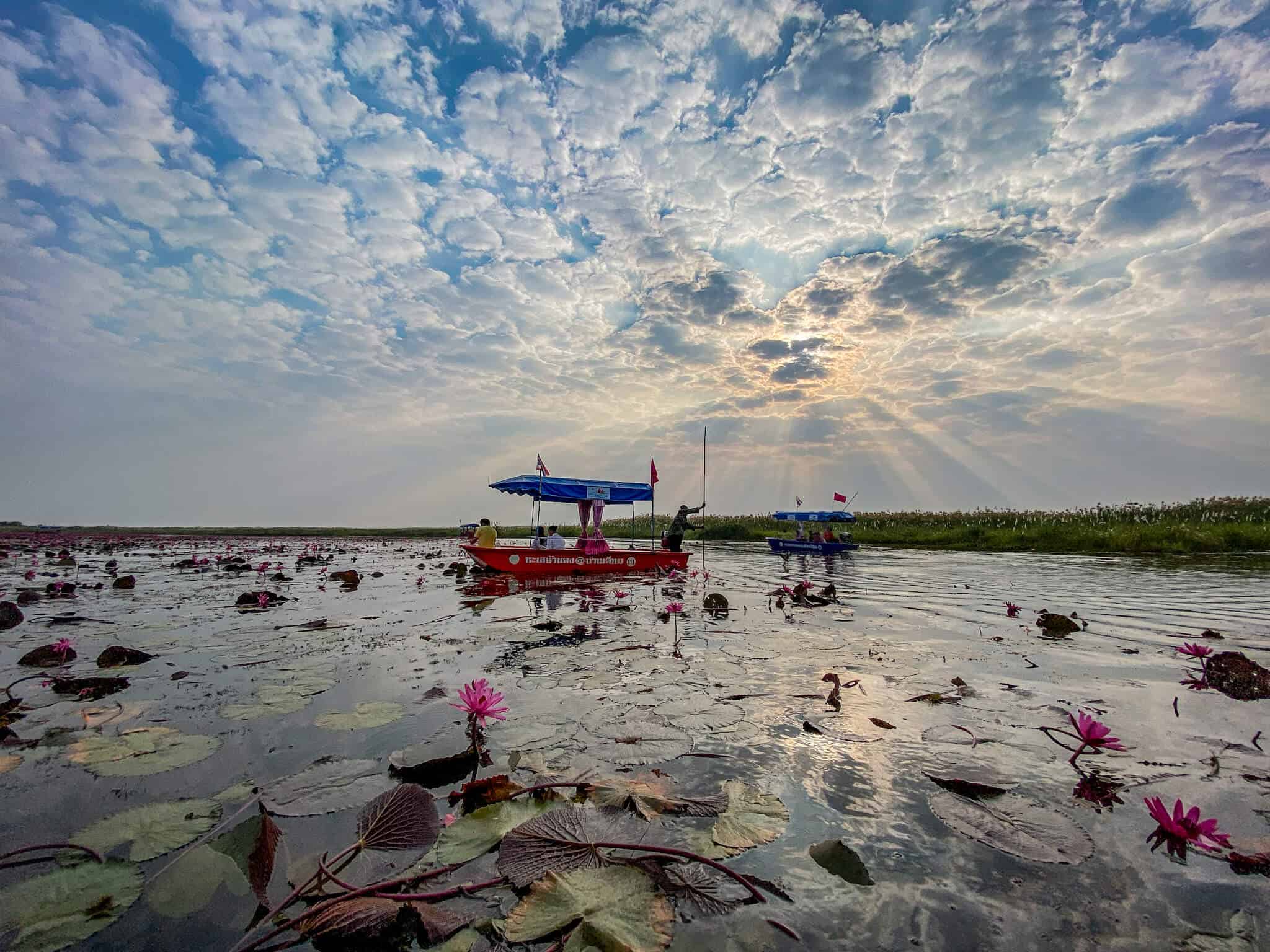 Red Lotus Lake 5