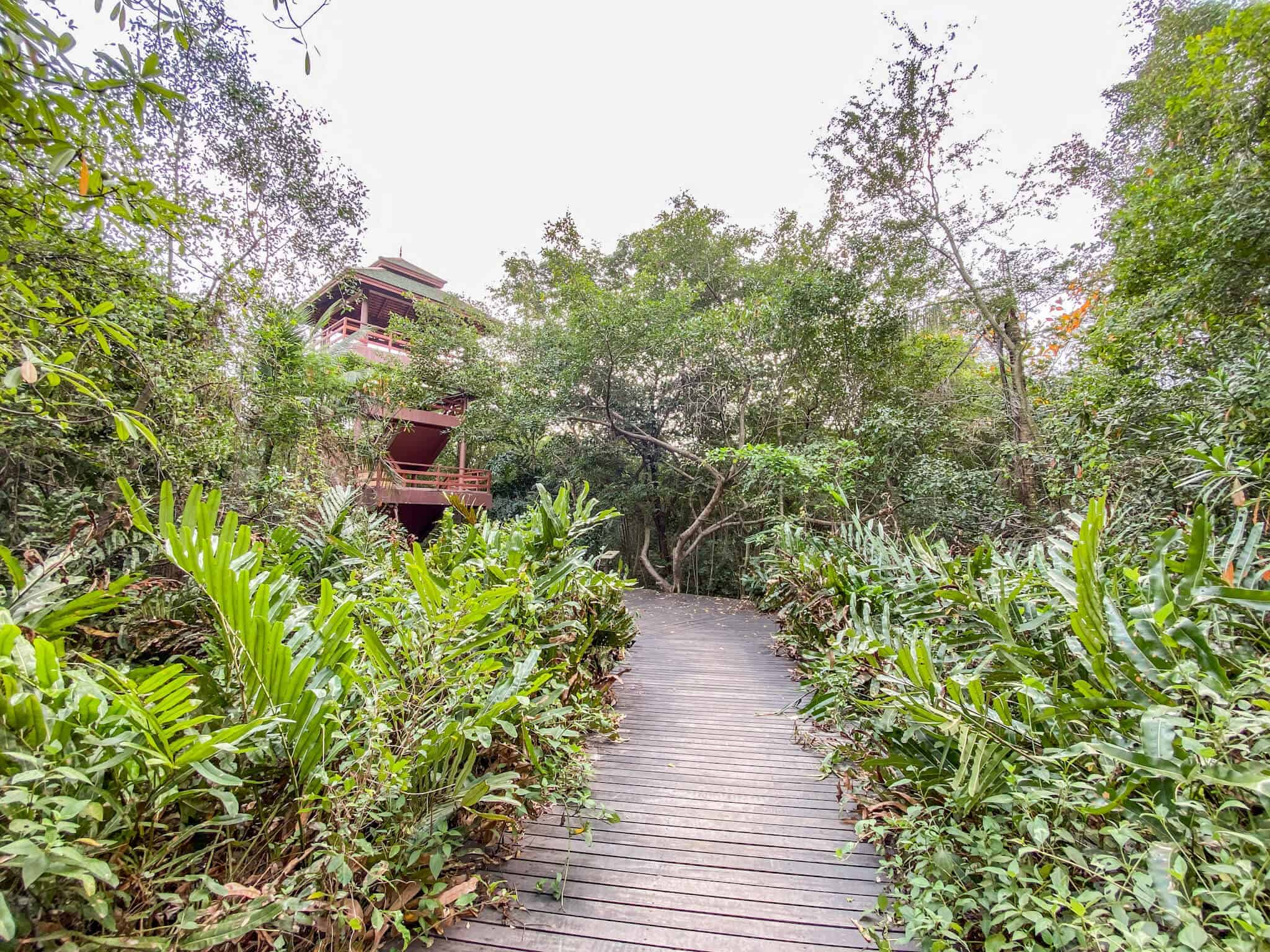 Bird Watch Tower Sri Nakhon Khueang Khan Park and Botanical Garden