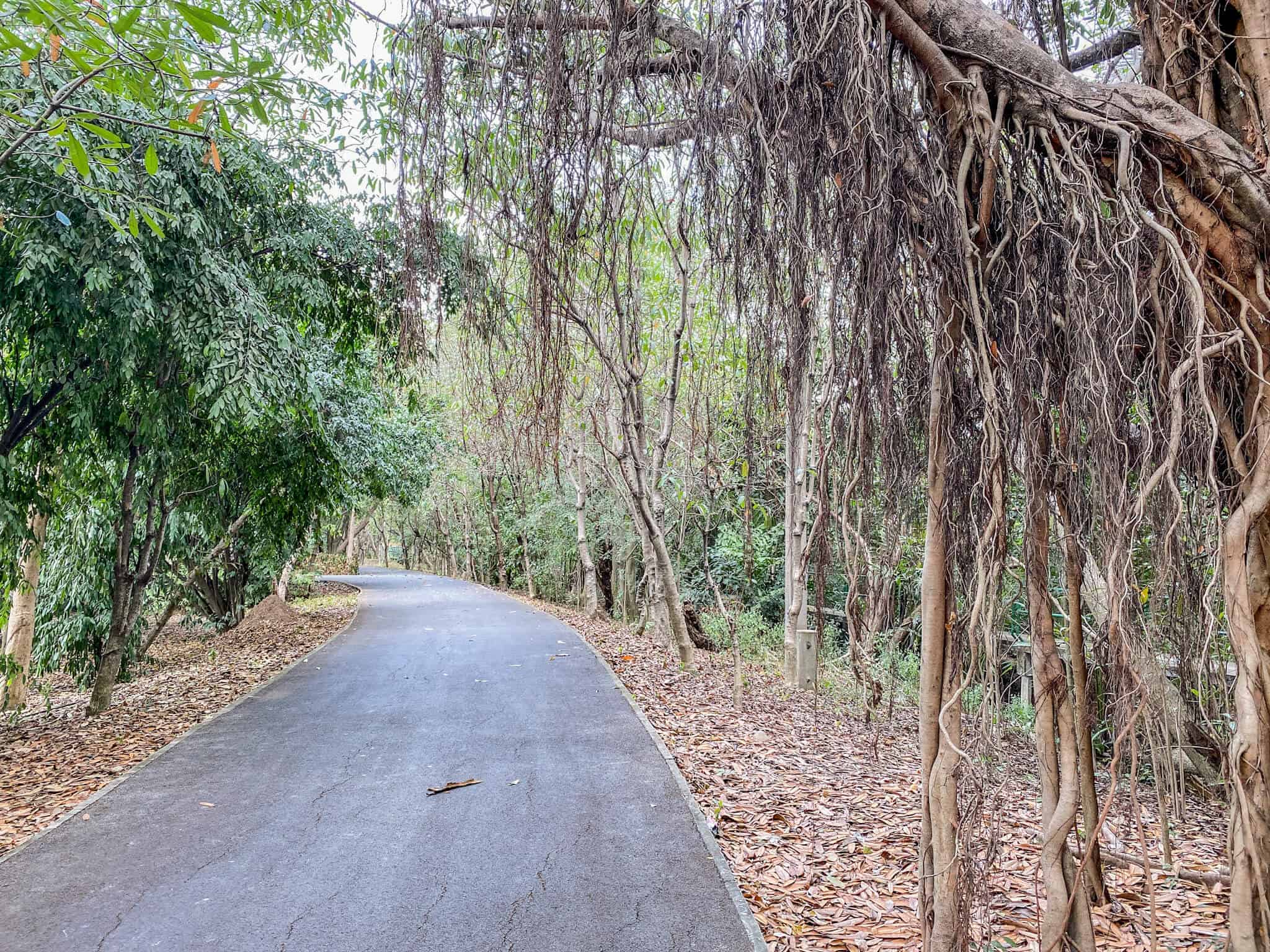 Sri Nakhon Khueang Khan Park and Botanical Garden