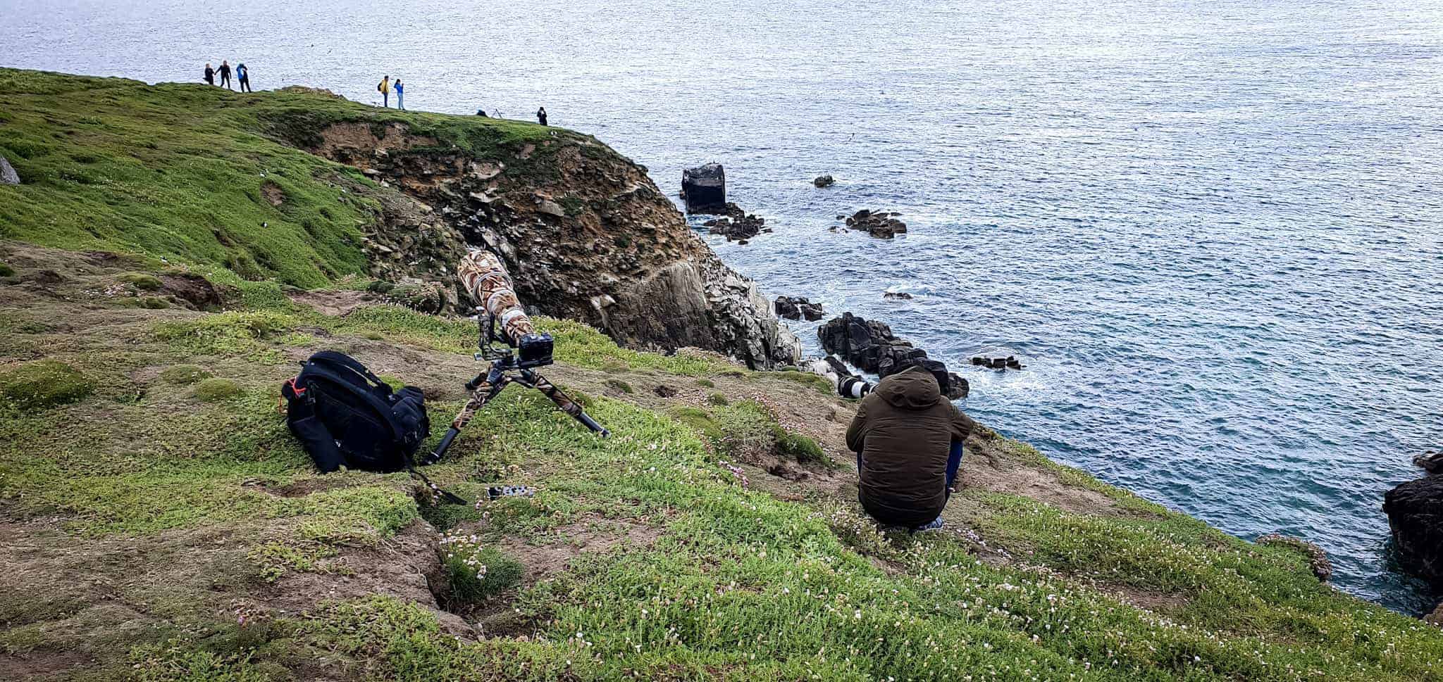 landscape of Great Saltee island