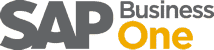 SAP Business One Logo
