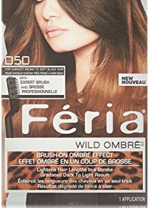 L'Oreal Paris Feria Brush-on Colored Ombre Effect Hair Color
