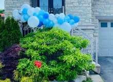 Balloon Bouquet # 32, Front-Yard-Balloon-Garland