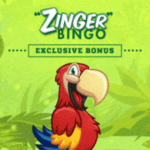 Zinger Bingo Free Tickets 