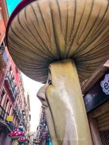'Mushroom Street', known for its unique mushroom-shaped structures, is a favourite spot with extreme day trip fans.